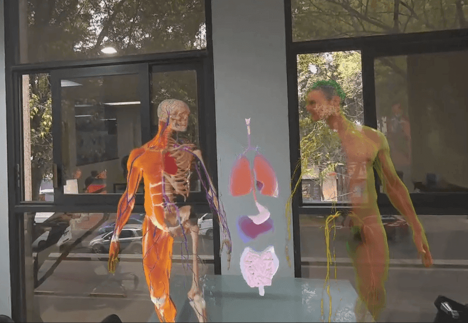 Human body